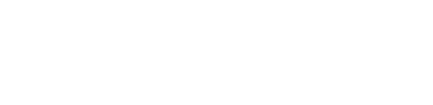 Sales Management (cs) - logo